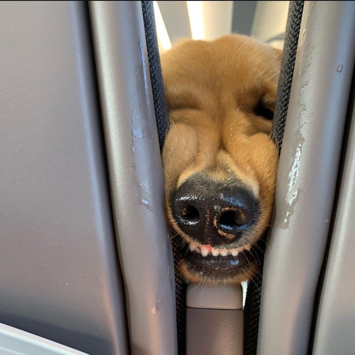 This guy sitting in the row in front of me won't leave me alone. Still 14/10