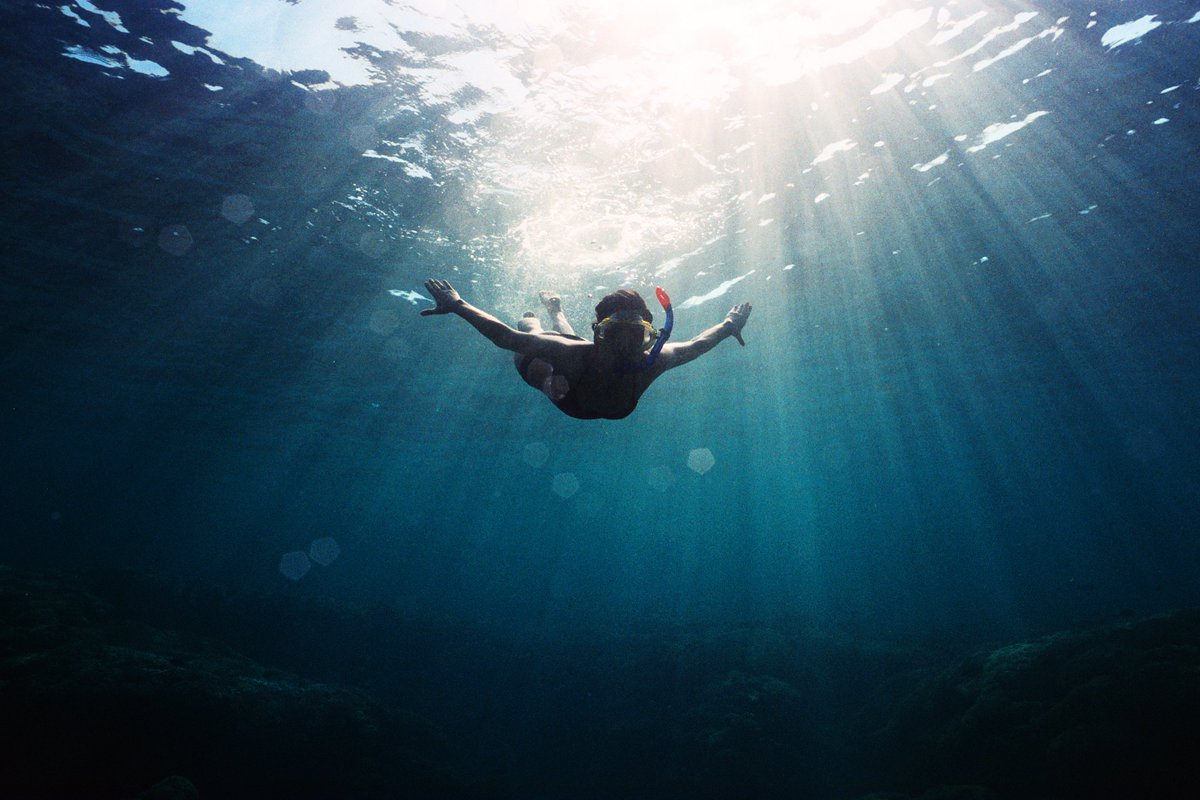 Fidel Amos ⟁ tweet media