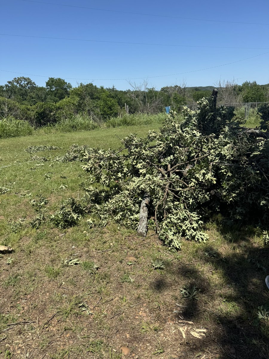 Cameron Stoneking tweet media