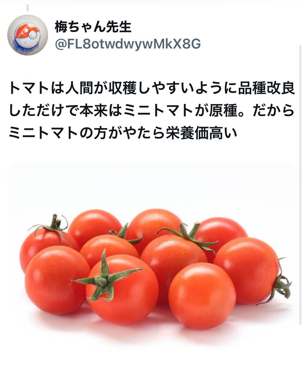 bozu_108's tweet photo. 三毛猫のオスは3万匹に1匹しかいない。みたいな情報

追加入賞 https://t.co/A7mnaYLNml