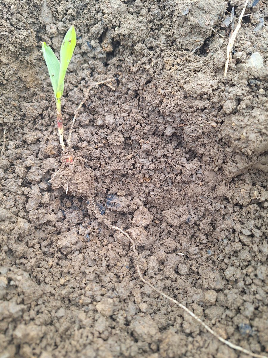 Chet Brunk tweet media