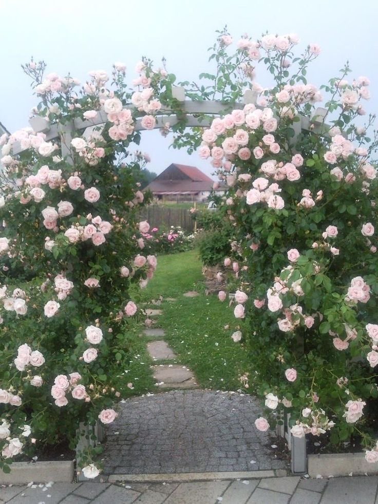 ‏ْ (@piinkifairy) on Twitter photo 