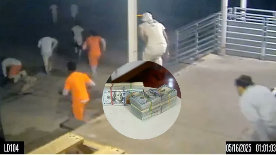 AztecaNoticias's tweet image. Fuga masiva en #NuevaOrleans, #EU

Diez #presos escaparon de la cárcel del Condado de Orleans y, mientras las #autoridades los buscan, la gente está apostando quién será recapturado primero.

aztecanoticias.info/4mr40bj