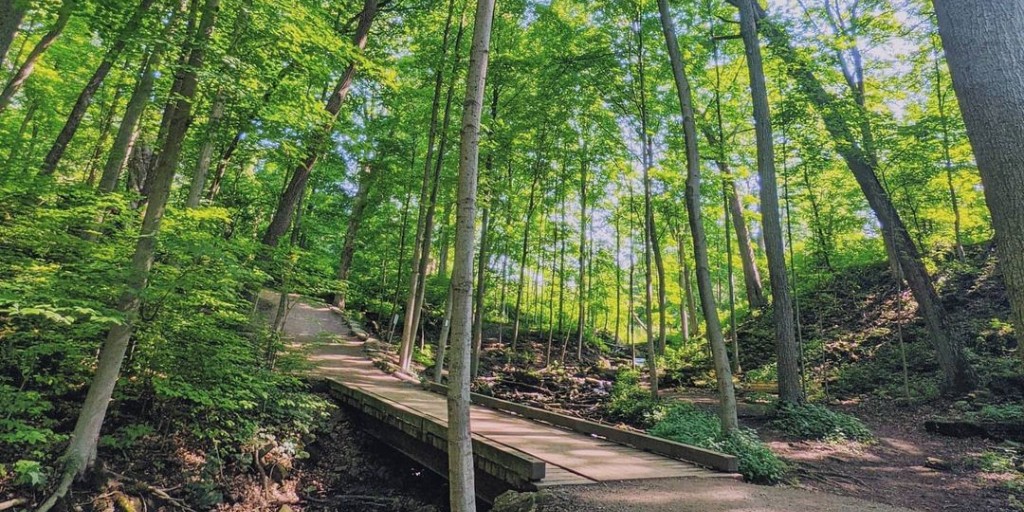 Tourism Hamilton (@tourismhamilton) on Twitter photo Looking for your next adventure? 🌳☀️
Hamilton’s got trails for days. From forest walks to waterfall views, there’s a hike here with your name on it.
📸 <a href="/ameya_gokhale/">ameya gokhale</a> (IG)
Hamilton Hiking Trails: bit.ly/4duTqvZ Looking for your next adventure? 🌳☀️
Hamilton’s got trails for days. From forest walks to waterfall views, there’s a hike here with your name on it.
📸 <a href="/ameya_gokhale/">ameya gokhale</a> (IG)
Hamilton Hiking Trails: bit.ly/4duTqvZ