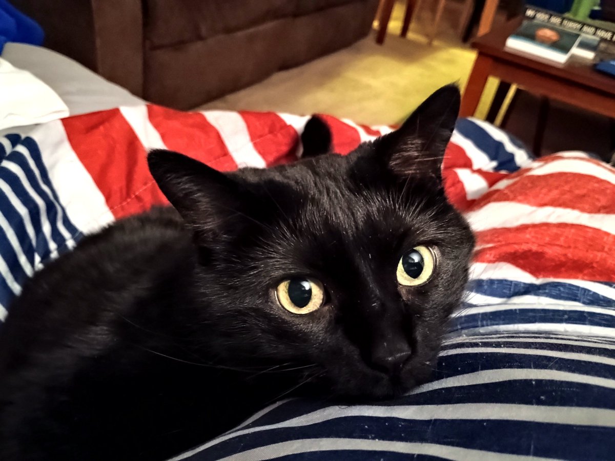 Jeff J Dummer tweet media