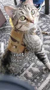 ❣️Anne❣️ (@usa_anne711) on Twitter photo <a href="/CatSaavy/">KittyTrouble</a> <a href="/1776Neville/">Neville1776 Gran Jefe</a> <a href="/JerryNYC54/">Jerry</a> <a href="/ColorApril/">April Color</a> <a href="/Daisysummer05/">Summer D</a> <a href="/Hopewater7/">Hope7🇺🇸</a> <a href="/BB_Scats/">༺⭐⛓⛓𓊈𒆜𝔹𝕒𝕓𝕪𒆜𓊉⛓⛓⭐༻</a> <a href="/dustinemills24/">dustin mills</a> <a href="/bdonesem/">💞 𝔀𝓱𝓲𝓼𝓹𝓮𝓻 💞 ( 𝓐𝓵 ) 😘</a> <a href="/ricphy2/">ricphy</a> <a href="/JEM_Books/">Stellaaaaa! ✝️📖🌻🤺🇺🇸AmericaFirst Never Give Up</a> <a href="/WilberforceInst/">Wilberforce Institute</a> <a href="/Brooklyn_tony3/">Brooklyn tony™ 🇺🇲💯</a> <a href="/PatriotInSF/">Mad Starr</a> <a href="/sep16000/">sep16000</a> <a href="/thejoker4624/">Rebs Fan and Reagan Conservative</a> <a href="/TwinsBus/">Twins on a Bus 𝕏 🇬🇧🇩🇪🇮🇹🌏</a> <a href="/momof331/">💫Dana Cohen💫</a> <a href="/45mx_7/">Maximus</a> <a href="/mil_vet17/">RetMilVet17</a> Thank you <a href="/CatSaavy/">KittyTrouble</a> <a href="/CatSaavy/">KittyTrouble</a> <a href="/1776Neville/">Neville1776 Gran Jefe</a> <a href="/JerryNYC54/">Jerry</a> <a href="/ColorApril/">April Color</a> <a href="/Daisysummer05/">Summer D</a> <a href="/Hopewater7/">Hope7🇺🇸</a> <a href="/BB_Scats/">༺⭐⛓⛓𓊈𒆜𝔹𝕒𝕓𝕪𒆜𓊉⛓⛓⭐༻</a> <a href="/dustinemills24/">dustin mills</a> <a href="/bdonesem/">💞 𝔀𝓱𝓲𝓼𝓹𝓮𝓻 💞 ( 𝓐𝓵 ) 😘</a> <a href="/ricphy2/">ricphy</a> <a href="/JEM_Books/">Stellaaaaa! ✝️📖🌻🤺🇺🇸AmericaFirst Never Give Up</a> <a href="/WilberforceInst/">Wilberforce Institute</a> <a href="/Brooklyn_tony3/">Brooklyn tony™ 🇺🇲💯</a> <a href="/PatriotInSF/">Mad Starr</a> <a href="/sep16000/">sep16000</a> <a href="/thejoker4624/">Rebs Fan and Reagan Conservative</a> <a href="/TwinsBus/">Twins on a Bus 𝕏 🇬🇧🇩🇪🇮🇹🌏</a> <a href="/momof331/">💫Dana Cohen💫</a> <a href="/45mx_7/">Maximus</a> <a href="/mil_vet17/">RetMilVet17</a> Thank you <a href="/CatSaavy/">KittyTrouble</a>