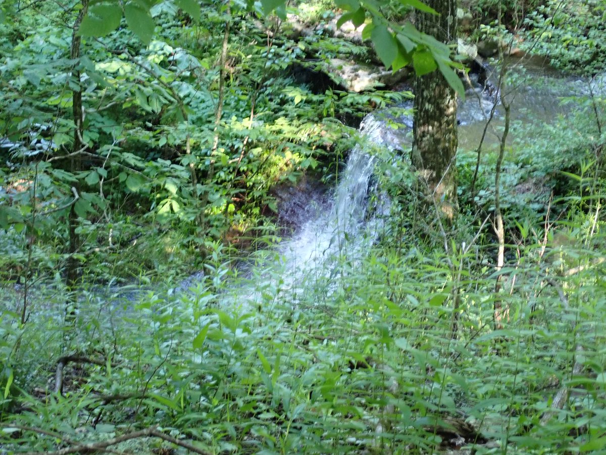 cruzzeroutdoors's tweet image. May 21st , 2025 my last hike until late Sept or Oct when I start hiking again. At first when I was asked I had said no thanks. But I did changed my mind. Lichen Falls, Lynn Hollow Falls and some great cascading waters. Scenic and with a fun group of my fellow hikers. #GoHiking