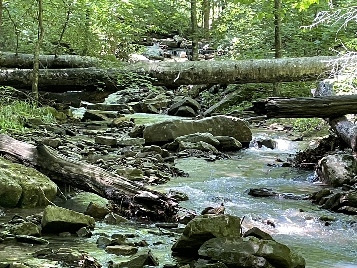 cruzzeroutdoors's tweet image. May 21st , 2025 my last hike until late Sept or Oct when I start hiking again. At first when I was asked I had said no thanks. But I did changed my mind. Lichen Falls, Lynn Hollow Falls and some great cascading waters. Scenic and with a fun group of my fellow hikers. #GoHiking
