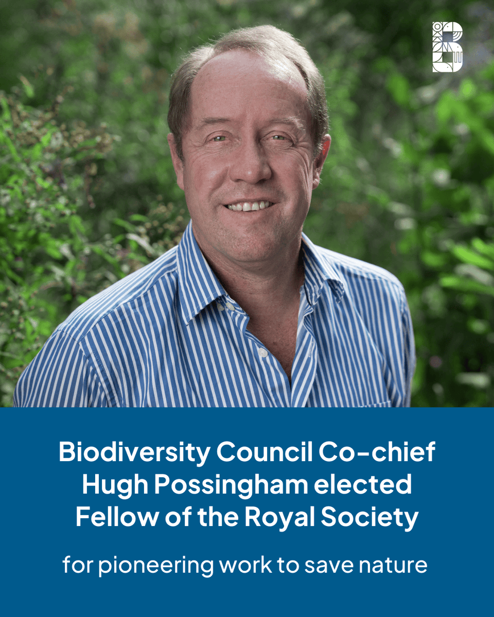 Biodiversity Council (@biodivcouncil) on Twitter photo Congratulations to Professor Hugh Possingham! 🎉
<a href="/Biodivcouncil/">Biodiversity Council</a> Co-Chief and University of Queensland ecologist and mathematician <a href="/HugePossum/">Hugh Possingham</a> has been elected as a Fellow of the Royal Society—one of science’s highest honours.
He’s been recognised for pioneering work in ecology Congratulations to Professor Hugh Possingham! 🎉
<a href="/Biodivcouncil/">Biodiversity Council</a> Co-Chief and University of Queensland ecologist and mathematician <a href="/HugePossum/">Hugh Possingham</a> has been elected as a Fellow of the Royal Society—one of science’s highest honours.
He’s been recognised for pioneering work in ecology