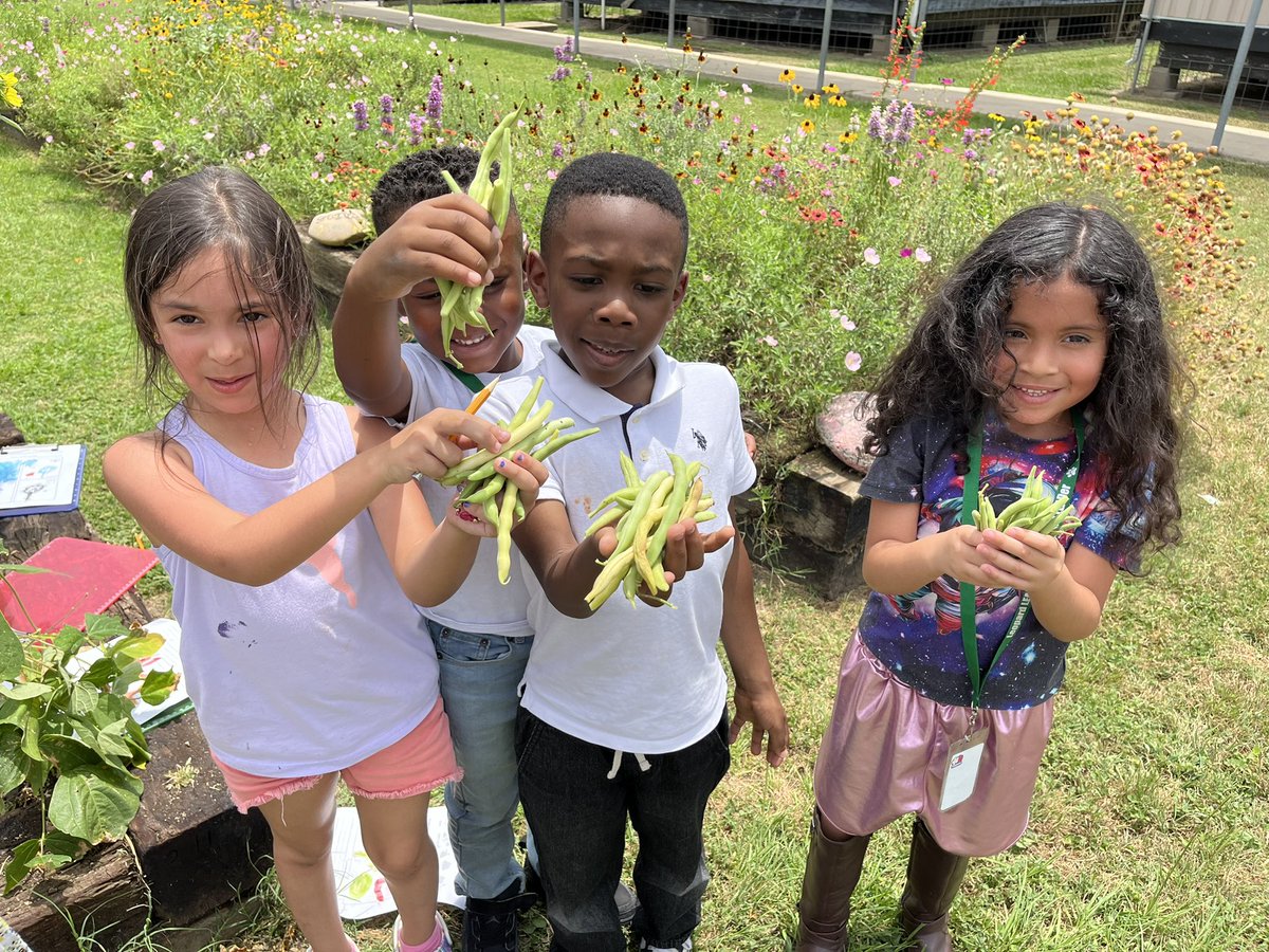 Julie Reifenrath (@reifenrathrtgg) on Twitter photo Kindergarten was full of smiles π<a href="/CFISDAndre/">Andre' Elementary</a> as they harvested cucumbers π₯, squash, beans π«, and onions!
<a href="/readygrowgarden/">Ready to Grow Garden</a>
<a href="/mrsnewcfisd/">Kelly New</a>
<a href="/CLozanoCFISD/">Carmen Lozano</a> Kindergarten was full of smiles π<a href="/CFISDAndre/">Andre' Elementary</a> as they harvested cucumbers π₯, squash, beans π«, and onions!
<a href="/readygrowgarden/">Ready to Grow Garden</a>
<a href="/mrsnewcfisd/">Kelly New</a>
<a href="/CLozanoCFISD/">Carmen Lozano</a>