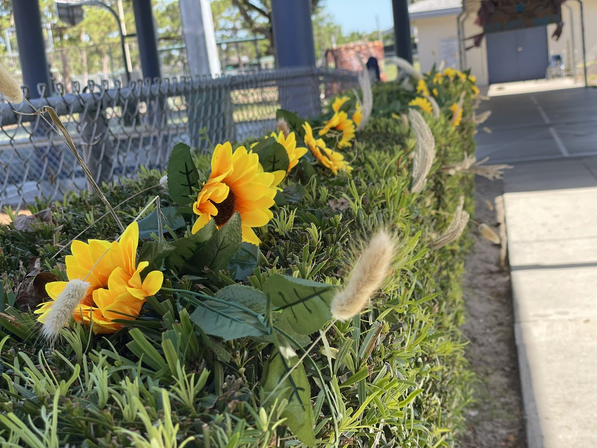 Seahorse Roundup #PBIS 🤠

<a href="/SeaGateES/">Sea Gate Elementary</a>