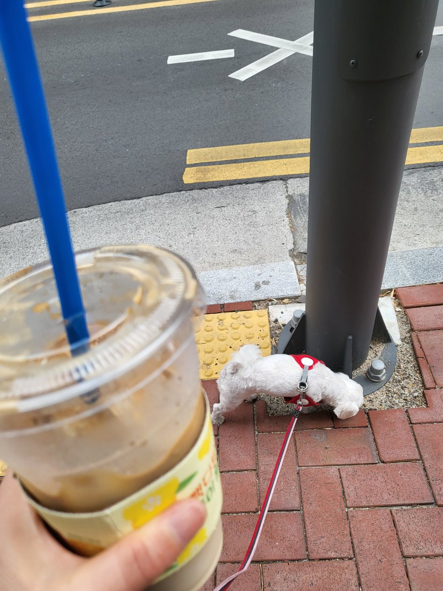 다시 시작해봅니다~^^
굿모닝~♡