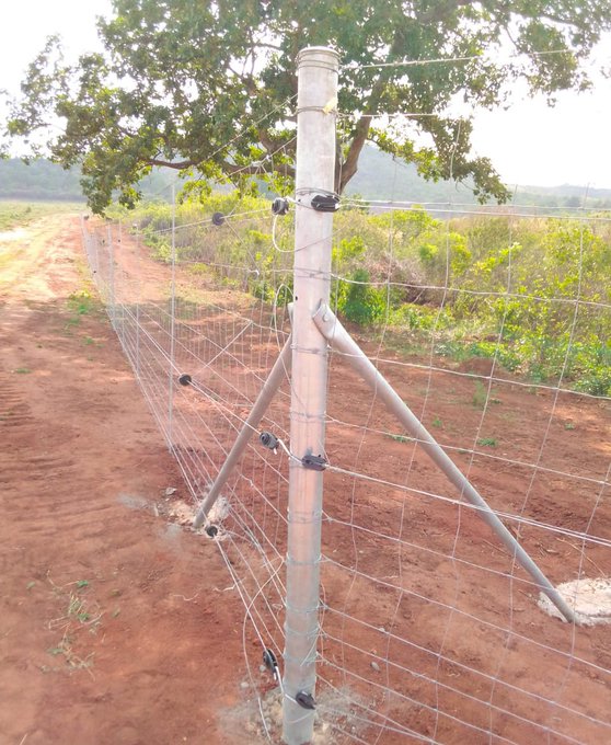 Basa sebasa
We recently installed a electrified Game Fence on our clients farm😁