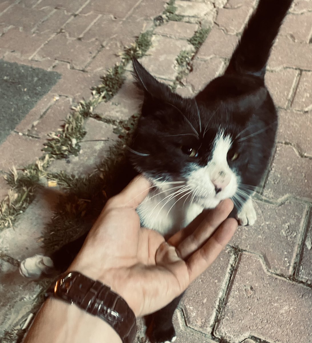 Az önce vergi dairesini yaktığını itiraf etti.