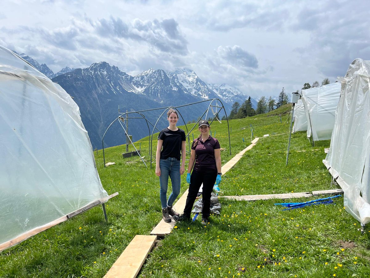 Spent a great day sampling in the Alps 🏞 to kick-off a new Masters students thesis project looking for drought legacy effects 👀🦠