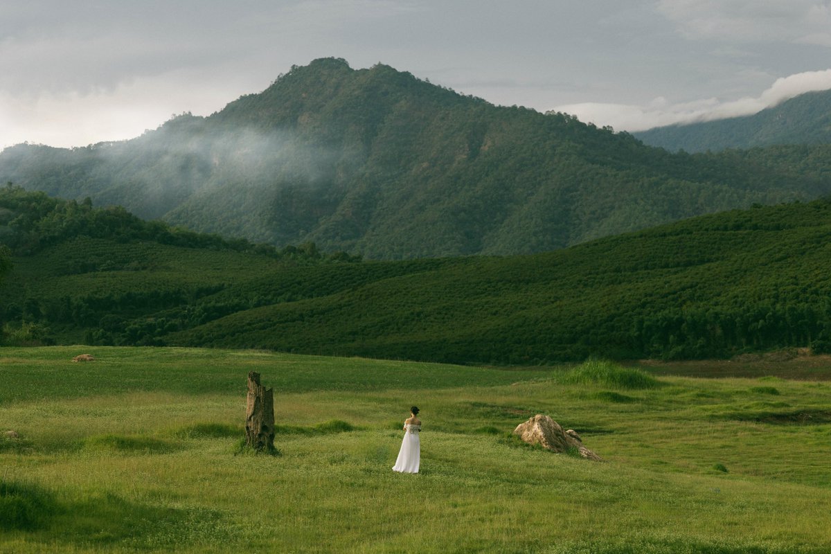 Unnzlism's tweet photo. อยู่เชียงใหม่มา 10 กว่าปีเพิ่งรู้ว่ามีโลเคชั่นที่ Landscape โหดและโคตรจะสวยขนาดนี้อยู่ มันโคตรจะเมืองนอกจริงอันนี้ เราลงรีวิวและรูปถ่ายเพิ่มเติมไว้ในเพจ KIN’S นะครับ บอกเลยว่าสวยมากๆ ยิ่งฤดูฝนแบบนี้คือสวยจนพูดไม่ออกจริง ดีมากๆ https://t.co/3FtIqFE69V