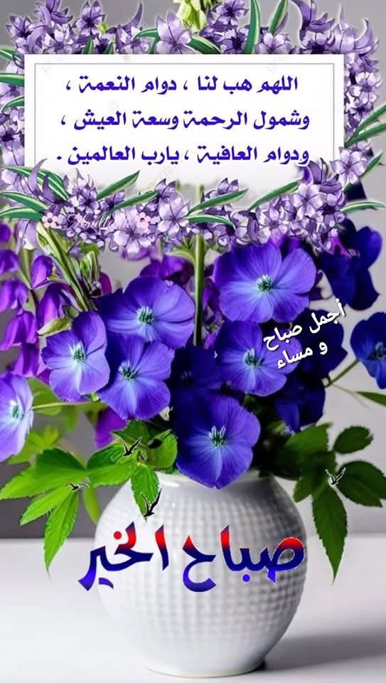 #دعاء_الصباح
 #صباح_الخير 🥰🌷🌹🌸
#صباح_الأشياء_المُشرقة 🥰🌷🌸🌹