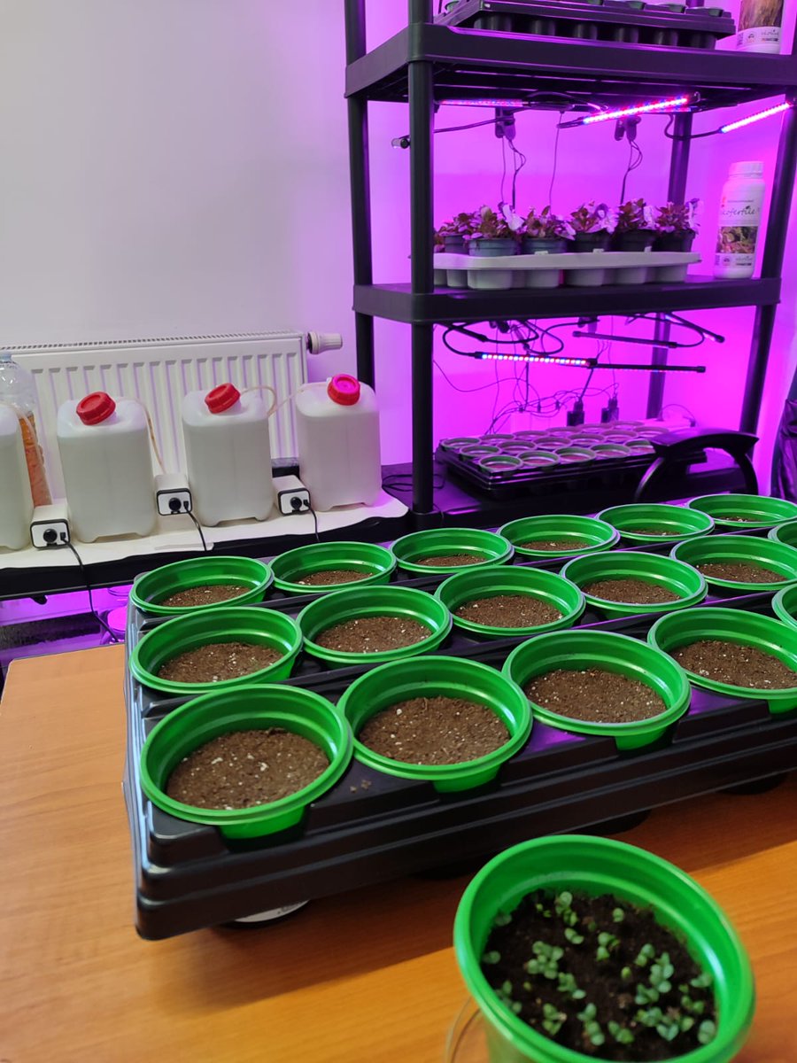 🌱#DíaInternacionalDeLaDiversidadBiológica 🌱

Innovar para conservar: los centros tecnológicos de #CastillayLeón son aliados clave para proteger y restaurar la #biodiversidad, aplicando tecnología e #innovación a retos ambientales reales.

#Sostenibilidad #CentrosTecnológicos