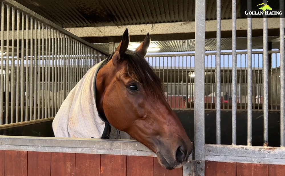 THE FINAL GALLOP
🎙️ Tony Gollan &amp; Claire Bird
▶️ vimeo.com/1086636761
⏰ Saturday
📍 Doomben
📆 Doomben Cup Day
🐴 Brereton
🐴 Sicilian
🐴 Cannonball
🐴 King Kapa
🐴 Nettuno
🐴 Torabella
🐴 Antino
🐴 Freedom Rally 📸
🐴 Rockribbed
🐴 Transatlantic