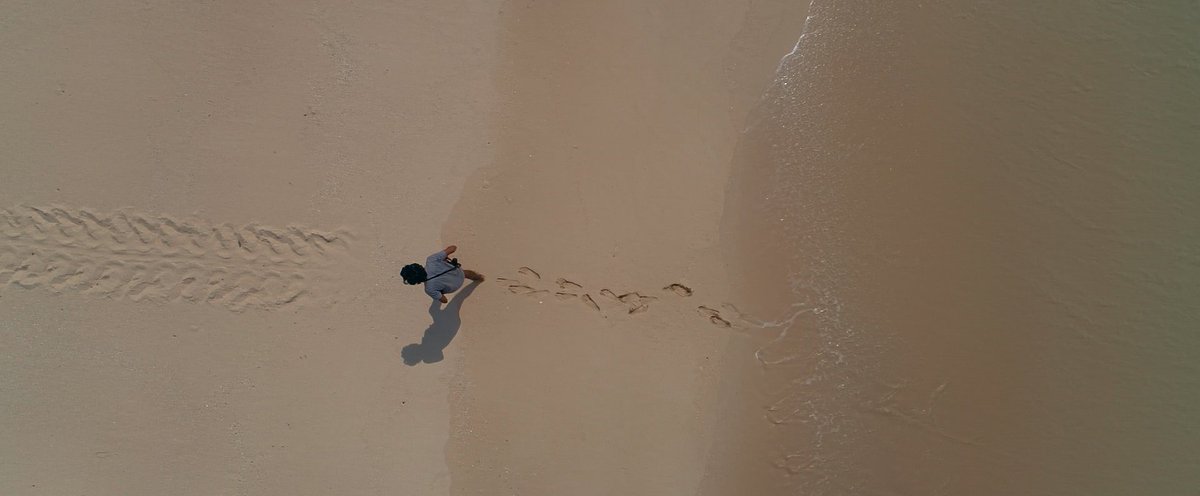 The death-defying quest of a kindly introvert 🐢

Through beautiful cinematography, TURTLE WALKER tells the story of a man who dedicated his life to the scientific study and protection of 4 species of Indian sea turtles.

🎟️ Find out more raindance.eventive.org/schedule/turtl…

#Raindance2025