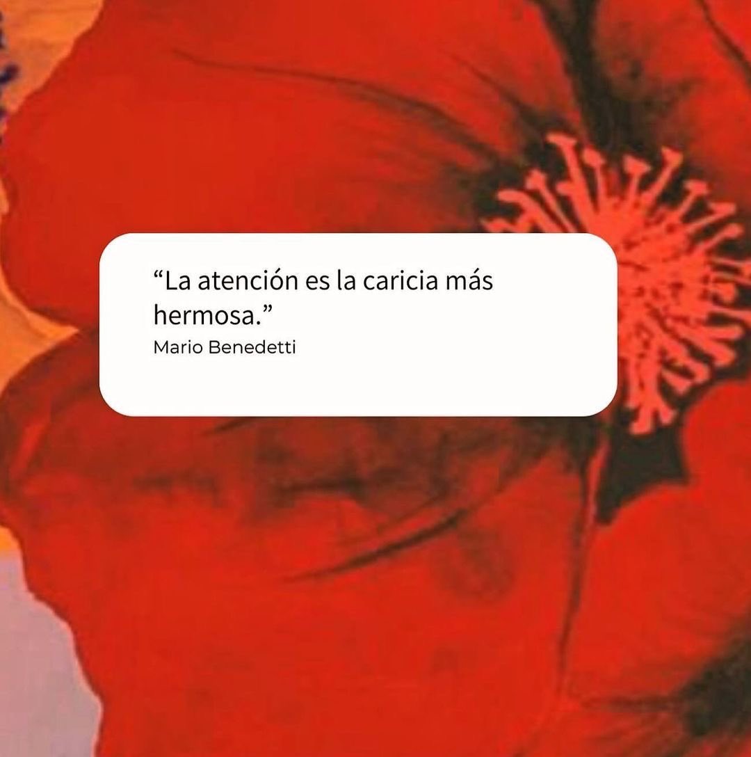 MarioGireko's tweet photo. https://t.co/nhAnry2j62
