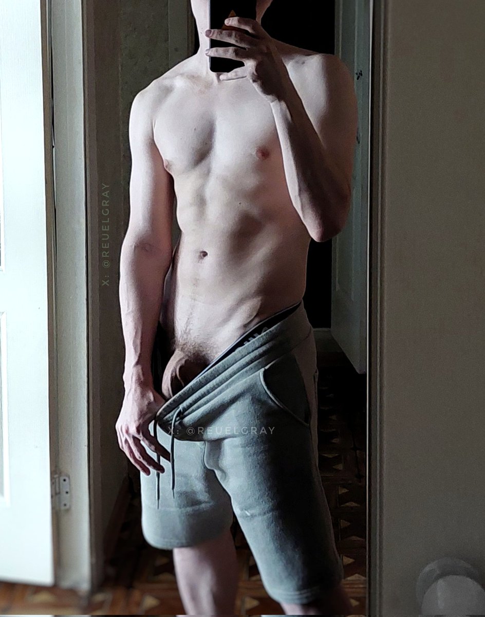 dicklodocus 🦕 tweet media