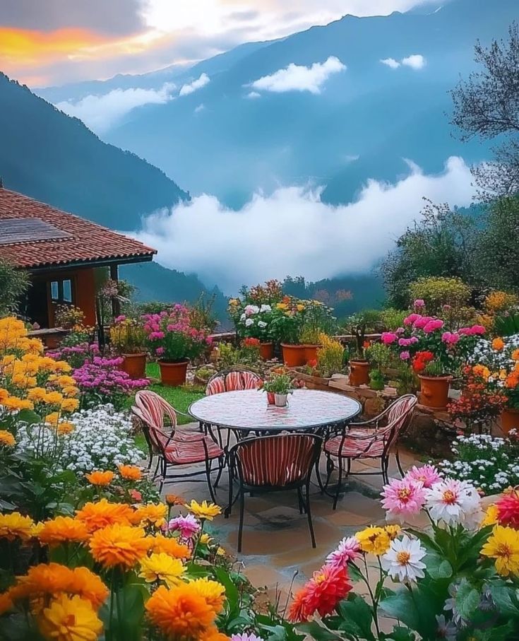 David88_01's tweet image. #thursdayvibes #GoodMorning #NatureBeauty #NatureLovers