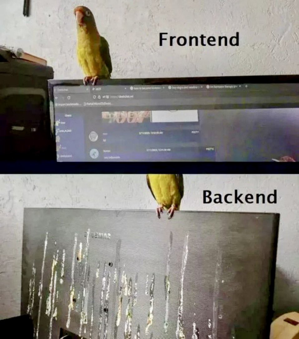 lingodotdev's tweet image. Accurate 😂🤭