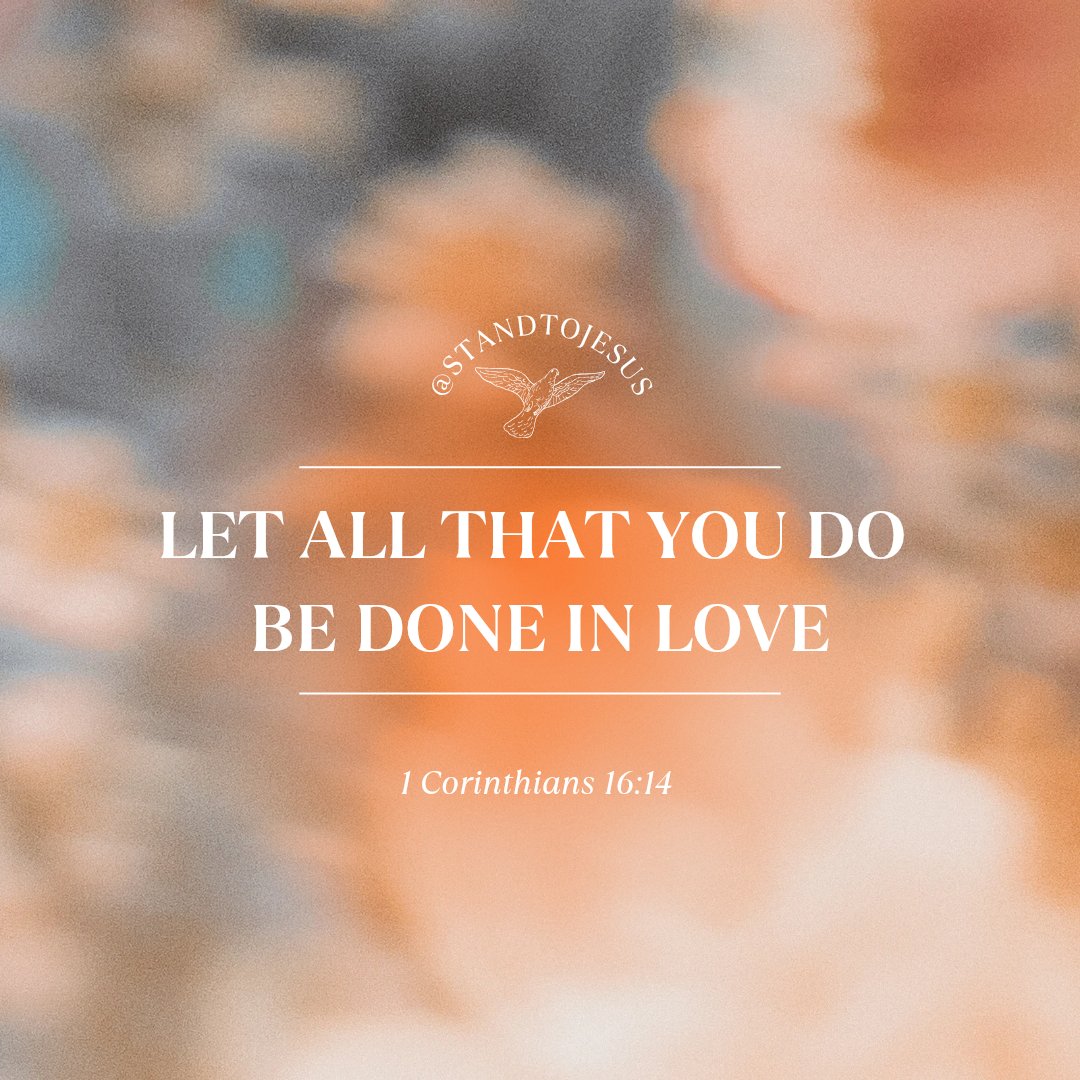 StandToJesus's tweet image. 