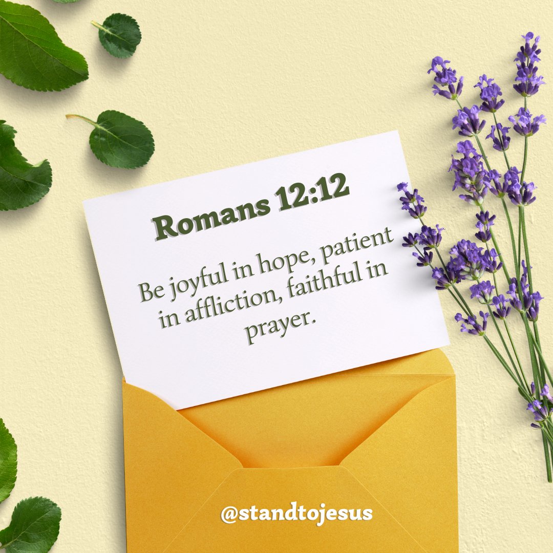 StandToJesus's tweet image. 