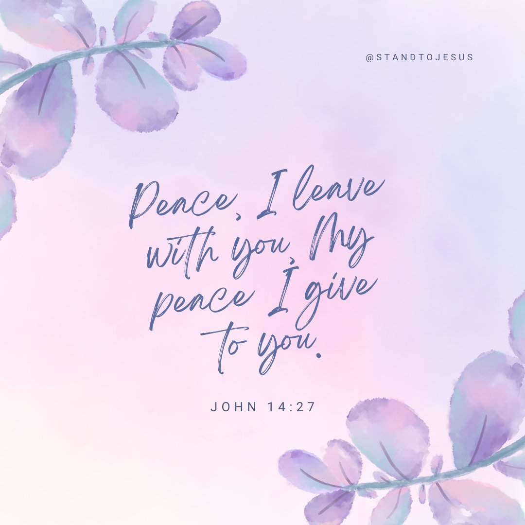 StandToJesus's tweet image. 