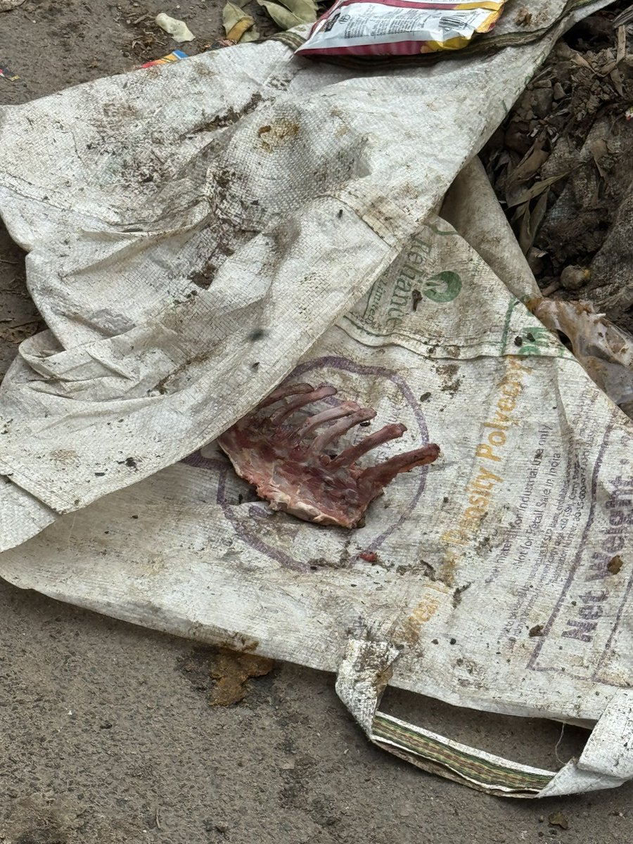 DIVYA MABEN tweet media