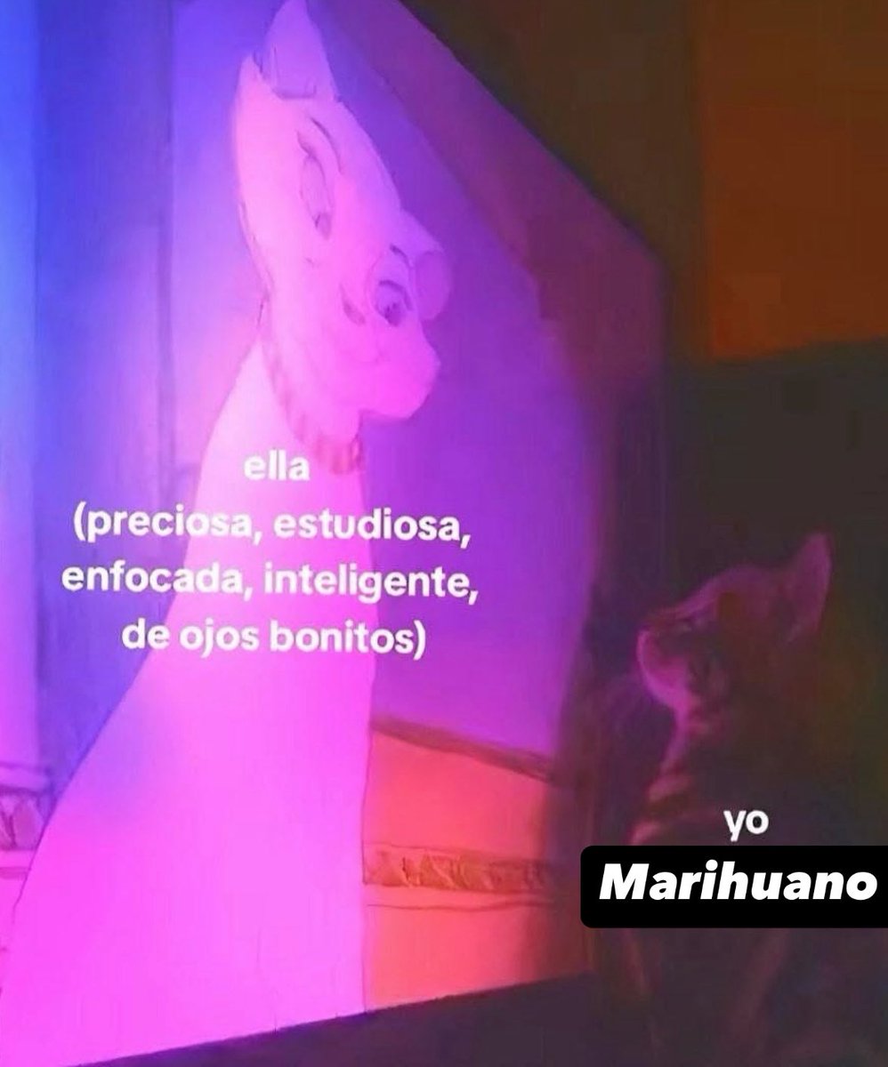 Angel Artesano ॐ (@angeel_artesano) on Twitter photo 