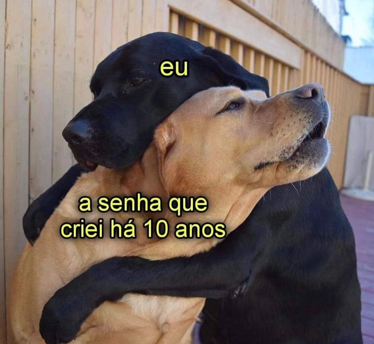 5gramasdememes's tweet photo. 🍀 https://t.co/H9BwUrUe8W