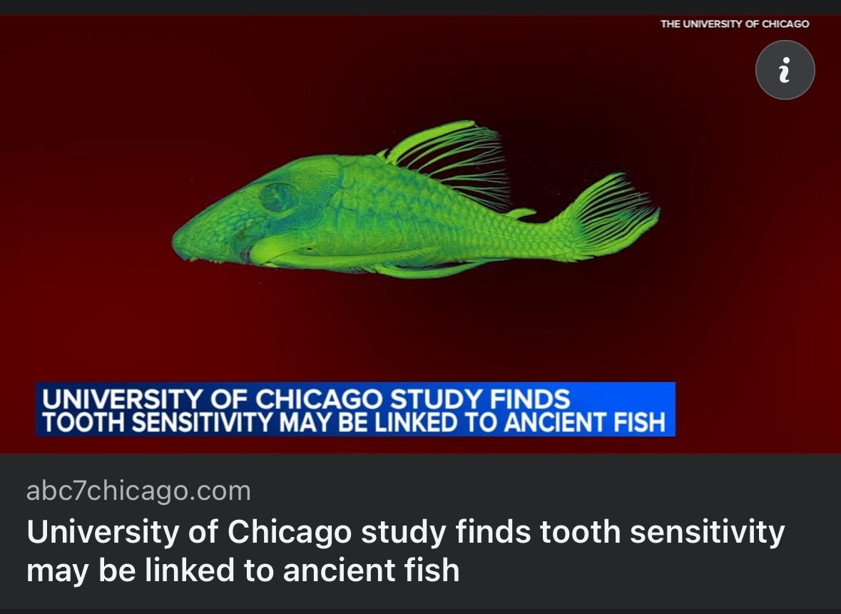 NeilNevins's tweet image. I knew it