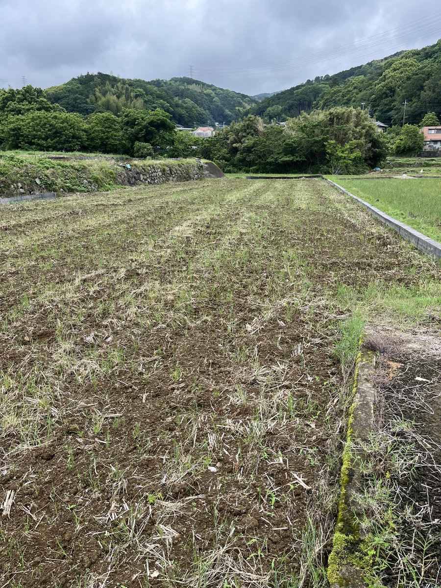 shikmkt's tweet photo. 田植え準備 https://t.co/nxtS9uJtNO