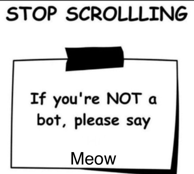 Catspurr🐾Vtuber🐾 tweet media