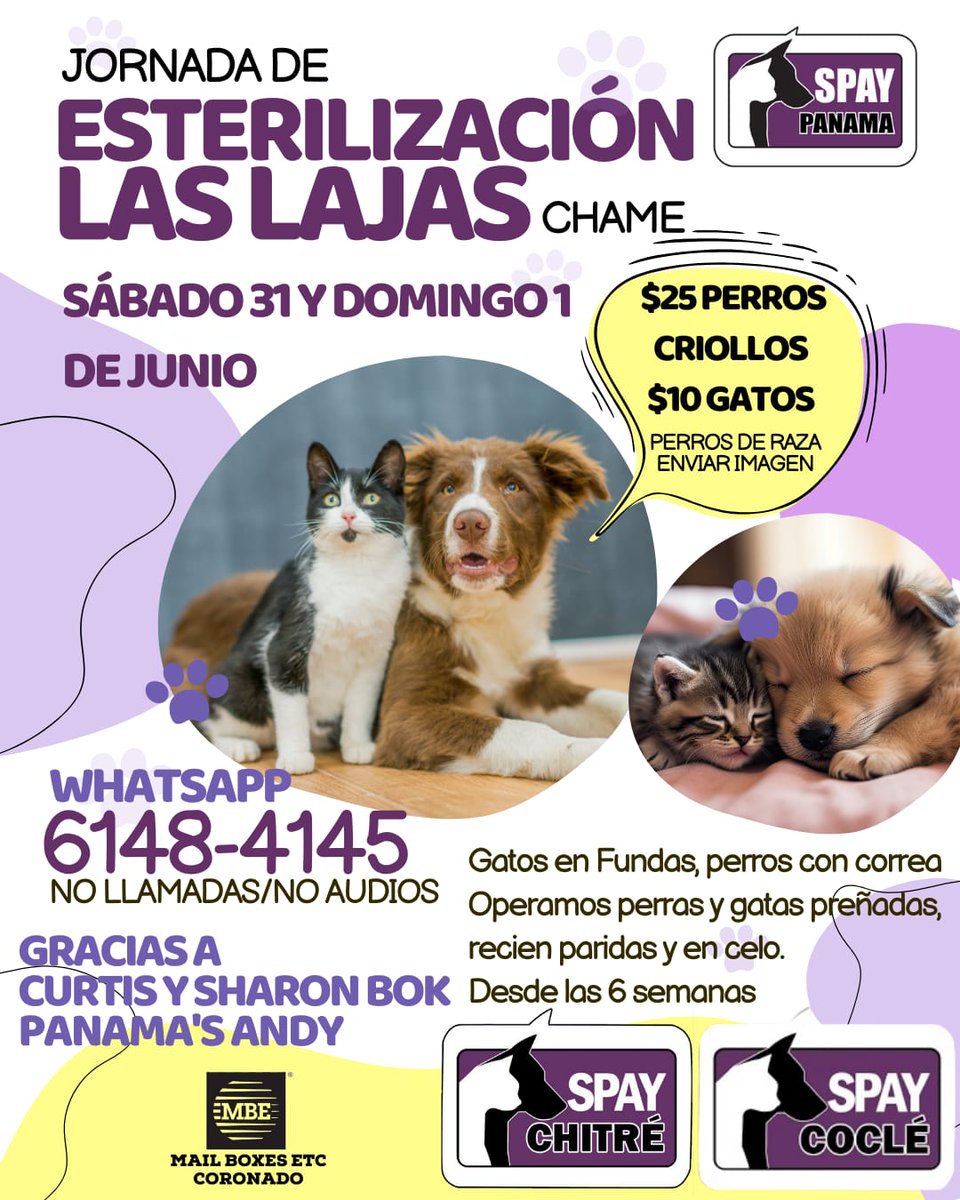Spay Panama tweet media