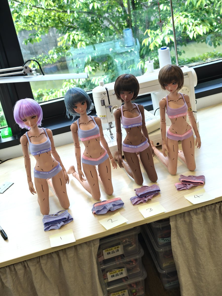 Smartdoll Land tweet media