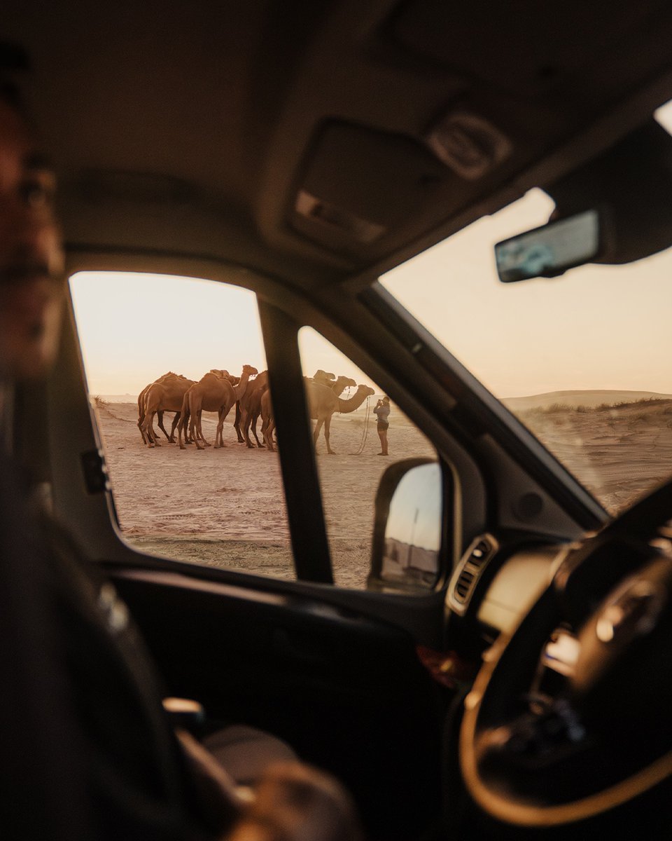 gointerstate's tweet image. 🌅 Evening traffic looks a little different out here!⁠
The beauty of travelling in an Interstate? You never miss a moment like this.⁠
Where&apos;s the most unexpected place your travels have taken you?

intst.au

#vanlife #motorhome #campervan #visitnsw #camels