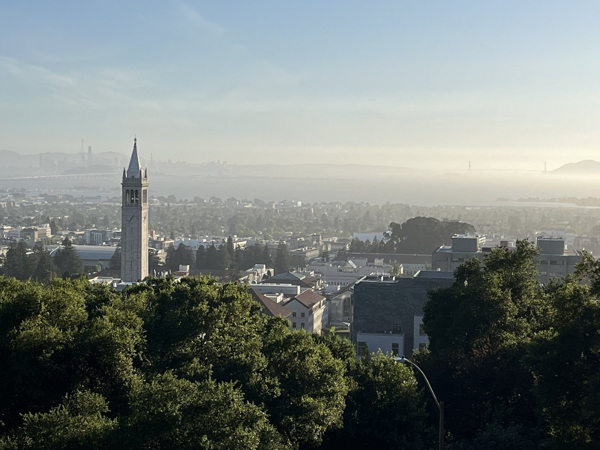 daniel_r_vega's tweet image. Biked to the lab and saw a Berkeley graduation, never kill yourself