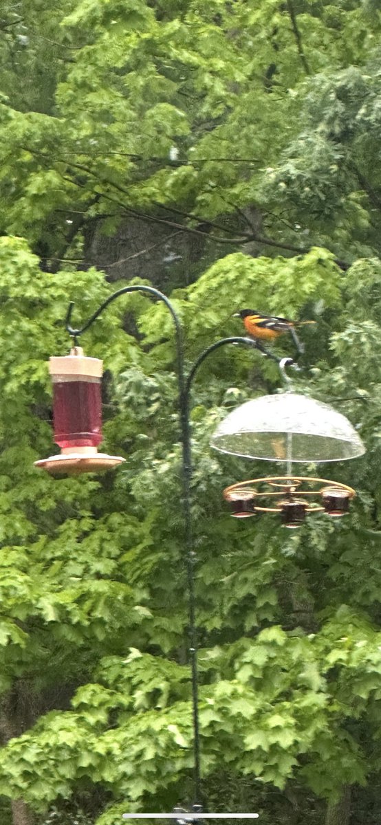 brad stovie tweet media