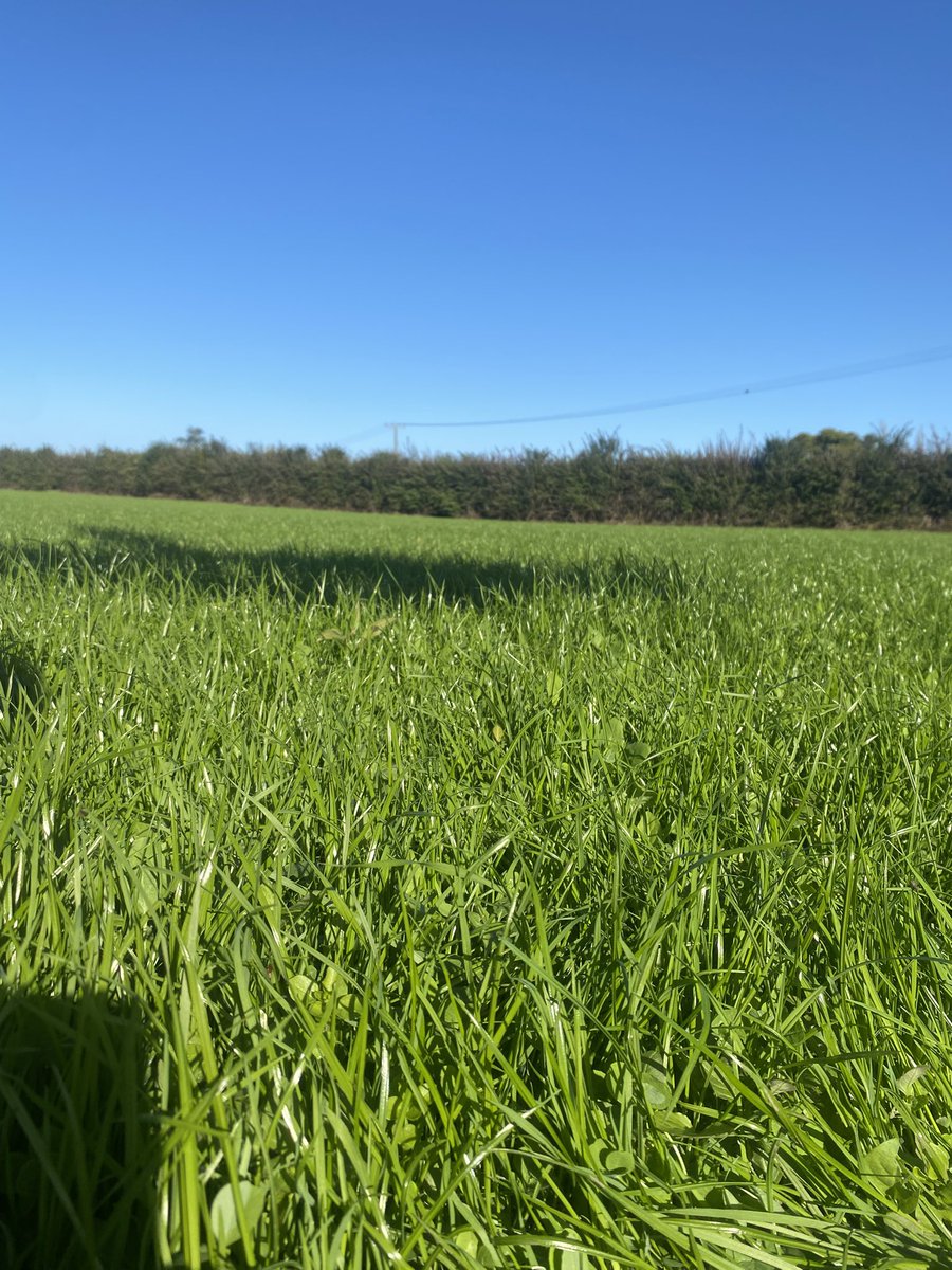 Top 50% farmer tweet media