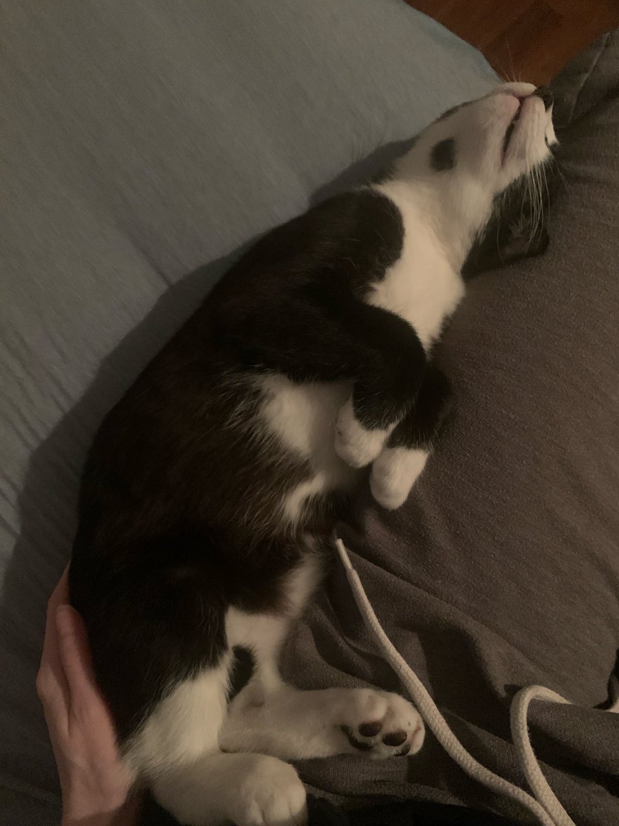 Hazel Griffiths tweet media