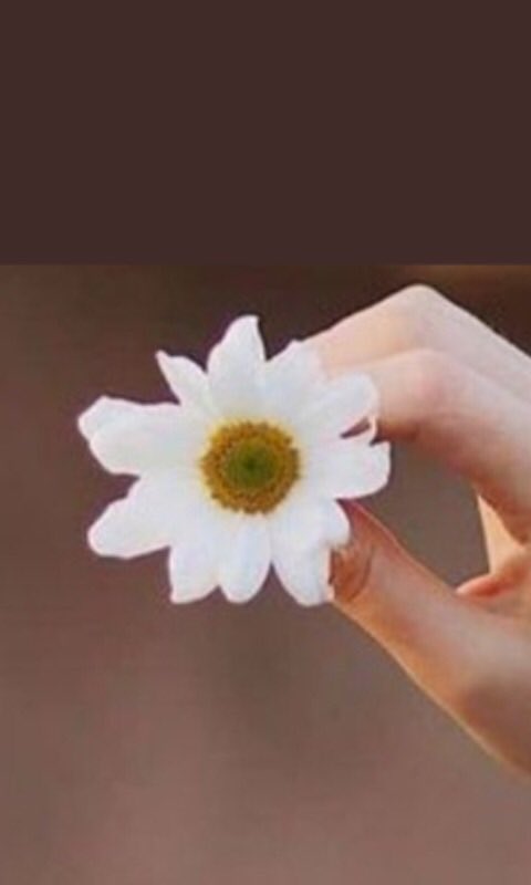 sitaravirgo's tweet image. Best dua for today
Almighty GOD
Protect me from
what is not in my favour,
place in my heart what is
best for me,
and write it in my destiny
with peace, honor, and true love. Amen.
#ThursdayThoughts
Good morning friends
