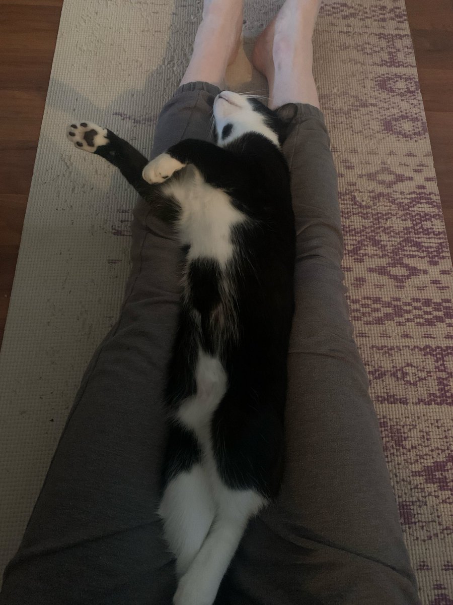 Hazel Griffiths tweet media