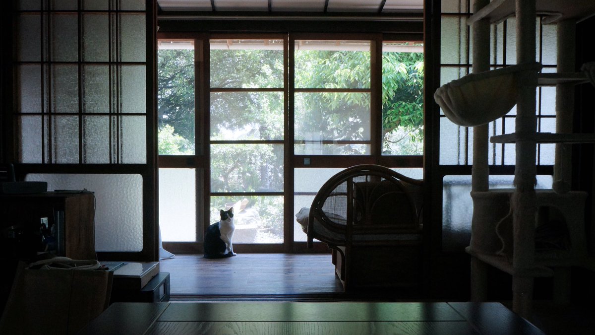 凪待ち荘 (@nagimachi_sou) on Twitter photo 