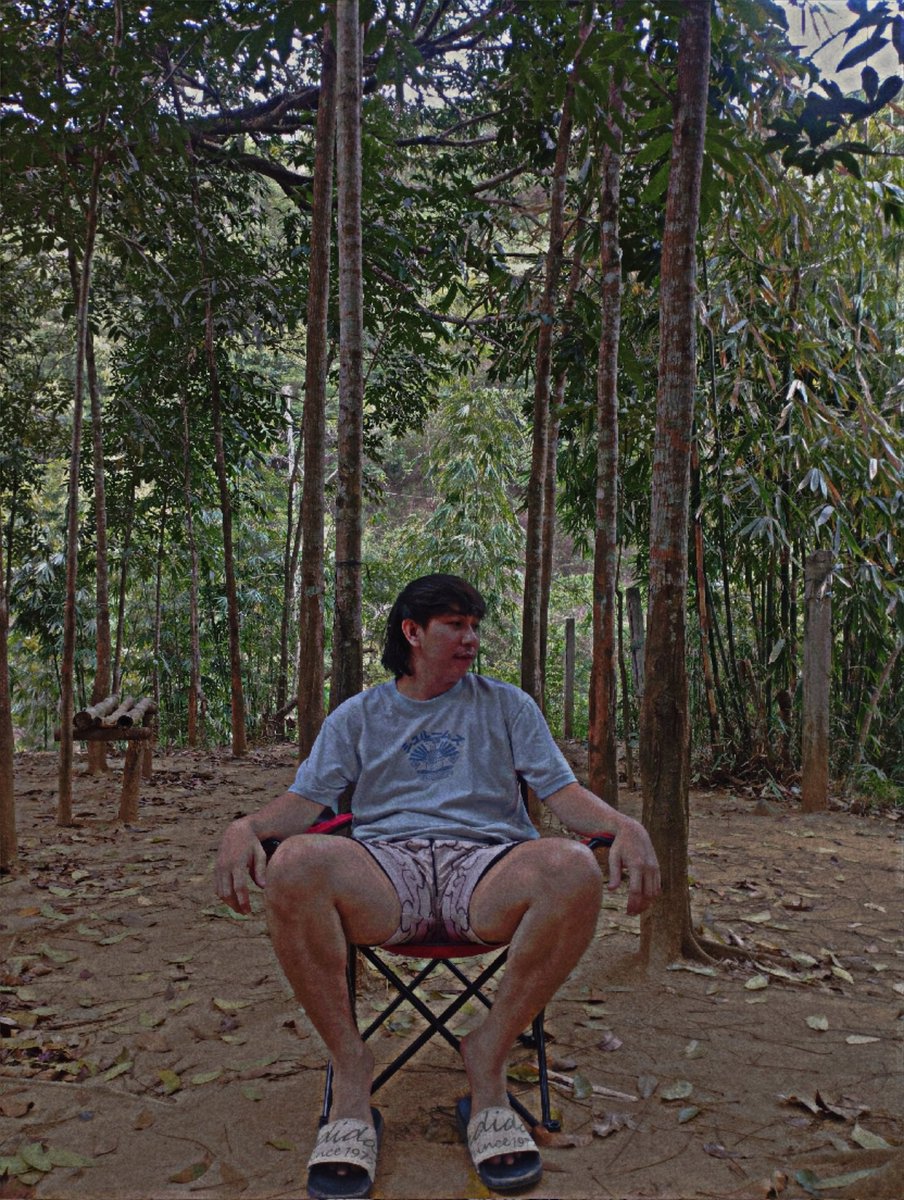 Peng7_'s tweet photo. 🍃 https://t.co/nhIjoaOjB2