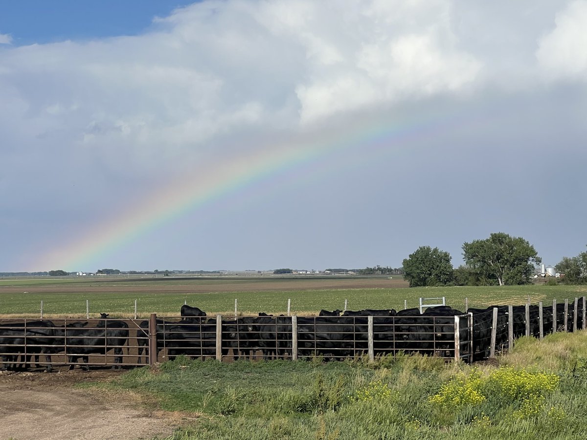 Dave Nelson (@agronomistdave) on Twitter photo 