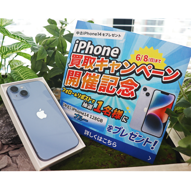 dospara_web's tweet photo. iPhone買取キャンペーン開催記念🎉

抽選で1名様に
『iPhone 14 ブルー (リユース品)』をプレゼント🎁

／
ご応募は✨
@dospara_web をフォロー＆リポスト
6/8(日)迄📅
＼

▼初夏のiPhone買取祭▼
https://t.co/0UOha6B6Gg